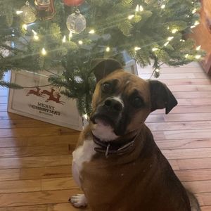 Meet your Posher, Kristen